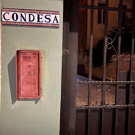 Condesa Bed and Breakfast *